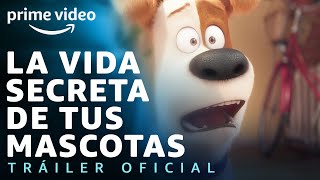 MASCOTAS EN APUROS Trailer [upl. by Jedediah569]