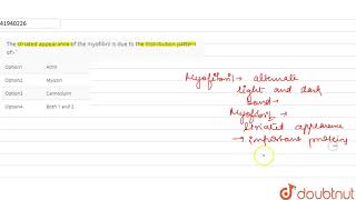 The striated appearance of the myofibril is due to the distribution pattern of [upl. by Anida687]