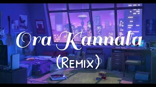 Ora Kannala Song  Remix   Lyrical Video  Lyric Canvas [upl. by Felt]