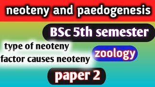 neoteny and paedogenesis bsc 5th semester zoologyneotenyandpaedogenesisneotenypaedogenesis [upl. by Eerrahs]