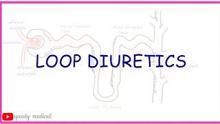 DiureticsLoop Diuretics Pharmacology [upl. by Ruzich325]