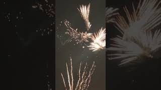 Diwali 🪔 festival Hobart youtube [upl. by Liamsi851]