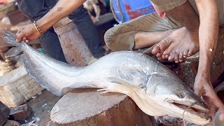 Giant Wallago Attu Boal Cat Fish Cutting Skills Live In Bangladesh  Fish Cutting Skills [upl. by Refinnaej889]