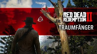 Alle 20 Traumfänger  Uralte Pfeilspitze  Red Dead Redemption 2 [upl. by Ameline173]