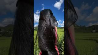 Shampoo hack for long hair ✅haircare ✅haircare longhairgrowth haircaretips ytshorts shortfeed [upl. by Augy752]