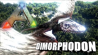 Taming A Dimorphodon  Ark Survival Evolved  The Island [upl. by Violette]