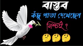 Akta nijer bastob kothaএকটা নিজের বাস্তব কথা যা কেও বলে সোনাই নি😔💔🥀 [upl. by Godwin]