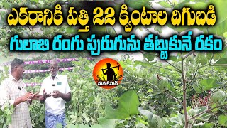 ఎకరానికి పత్తి 22 క్వింటాలు దిగుబడి  Prabhath Seeds 205 Cotton  Cotton Farming  Mana Kisan [upl. by Swehttam]