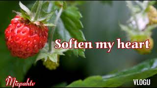 SOFTEN MY HEART Lyrics Maranatha Music [upl. by Ardnaik138]