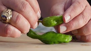 How to Grill Shishito Peppers  From the Pit [upl. by Josy226]