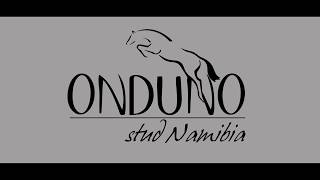 onduno stud english [upl. by Annayr]