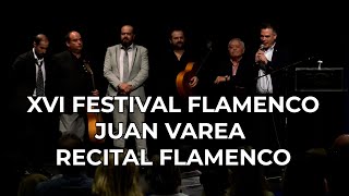 XVI FESTIVAL FLAMENCO JUAN VAREA RECITAL FLAMENCO [upl. by Matusow]