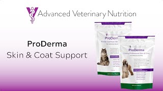 ProDerma  Canine amp Feline Skin amp Coat Support [upl. by Oreves]