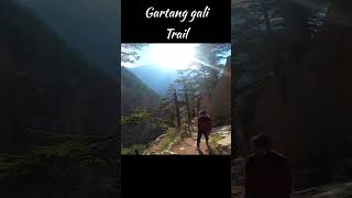 Gartang gali trail  harsil valley  Sam bisht [upl. by Gallager]