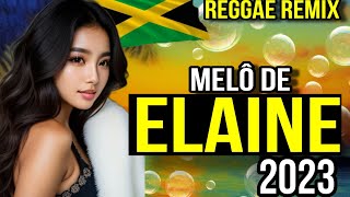 Melô De Elaine 2023  Reggae Remix  Dj Mister Foxx [upl. by Ronn]