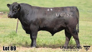 Lot 89 Lawsons Quinella VLY23U4052 [upl. by Raynata]