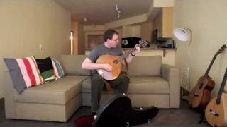 Fylde Cittern  the Swedish Jig [upl. by Yorker]