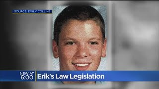 Eriks Law Legislation [upl. by Llezo]