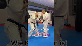 Was alle denken vs wie es wirklich ist Kyokushin [upl. by Anikahs]