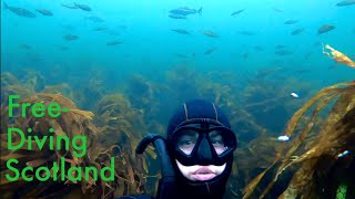 Snorkeling and freediving at Findochty North Scotland [upl. by Ydaf]