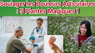 5 Plantes Magiques Pour Soulager Vos Douleurs Articulaires Sans Médicaments [upl. by Nikola]