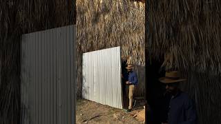 After tobacco is harvested it is brought into the curing barn and hung to dry cigar thestogielife [upl. by Etnecniv296]