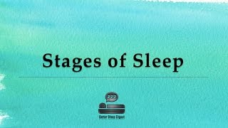 Stages of Sleep  Sleep Cycles [upl. by Aun]