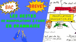 MANIPULATIONS ou GESTES À CONNAITRE EN GRAMMAIRE pour le brevet loral du bac de français 2024 [upl. by Bobbie]