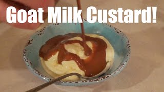 Goat Milk Custard Ice Cream [upl. by Nodgnal]