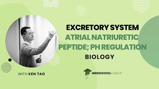 Atrial Natriuretic Peptide amp pH Regulation [upl. by Yeta]