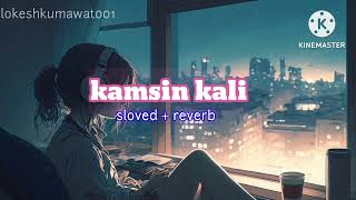 kamsin kali slowed and reverb song  kamsin kali song  lokeshkumawat001 [upl. by Eda]