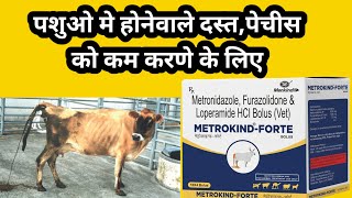 Metrokind Forte Bolus  Metronidazole Furazolidone and Loparamide Hcl Bolus For Cattles [upl. by Levins104]