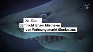 Öffentliches Wohnungsbauprogramm DIE LINKE Wohnungsmarkt nicht länger Miethaien überlassen [upl. by Cinnamon72]