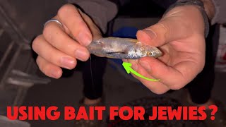 We Try Fishing Bait For Jewfish At Night  Shoalhaven River  Part 2 [upl. by Biggs]