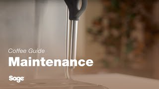 The Barista Express™ Impress  How to clean and unblock your steam wand  Sage Appliances UK [upl. by Nipsirc]