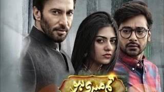 Tum Meri Ho Ost Complete Song Ary Digital [upl. by Seafowl91]