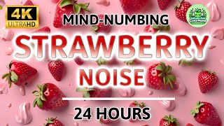 Mindnumbing Strawberry Noise  24 Hours  BLACK SCREEN  Unwind relax and boost your productivity [upl. by Norehs257]