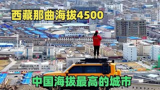 中国海拔最高的城市，唯一一个不长树的城市，西藏那曲海拔4500 [upl. by Acnairb912]