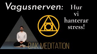 Avsnitt 7 Vagusnerven  Hur vi hanterar stress Meditation och vetenskap  Säsong 1 [upl. by Phippen]