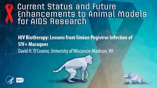 HIV Biotherapy Lessons from Simian Pegivirus Infection of SIV Macaques [upl. by Hawkins]