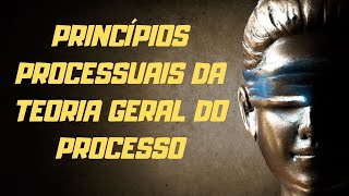 Princípios Processuais da Teoria Geral do Processo [upl. by Cindy]