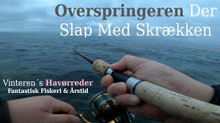 Overspringeren Der Slap Med Skrækken  Vinteren´s Havørreder [upl. by Artenra911]