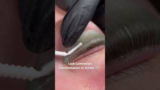 Watch Lash Lamination Transformations at Lash Boutique 🌊✨ capecodlife plymouthrock lashes [upl. by Lydia]