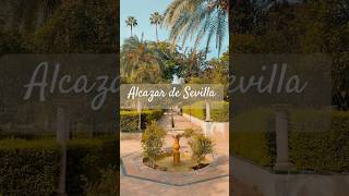 Alcazar de Sevilla  a magnificent place to visit [upl. by Fagan]