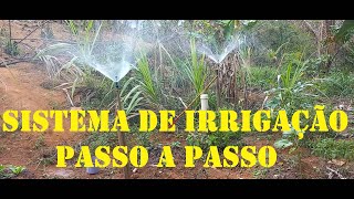 SISTEMA DE IRRIGAÇÃO amp ASPERSOR CASEIRO PASSO A PASSO [upl. by Melamie370]