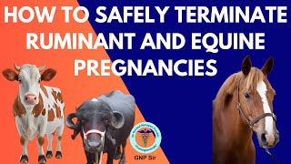 VetroMedical Termination of Pregnancy in Ruminants and Horses [upl. by Tram]