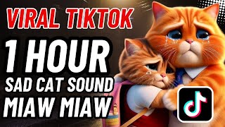 1 HOUR Miaw miaw miaw miaw sad cat song tiktok in 2024 [upl. by Derej]