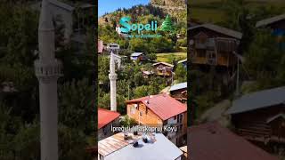 İpreğvli Taşköprü Köyü artvin imerhev sopeli karadeniz [upl. by Anaicul]