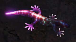 MHW All Terrestrial Endemic LifePets Timestamps In Description [upl. by Michaud]