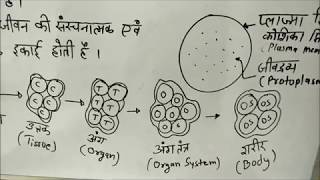 Cell Biology Lecture 1Hindi [upl. by Ralleigh]